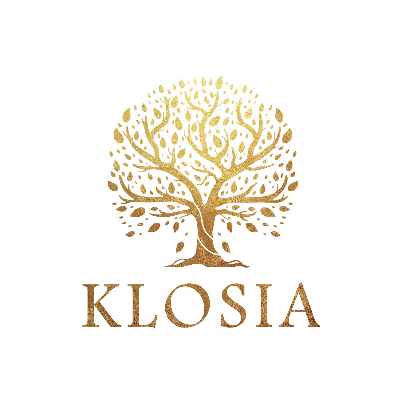 Klosia Klosia ecommerce seller TrackVid VMS